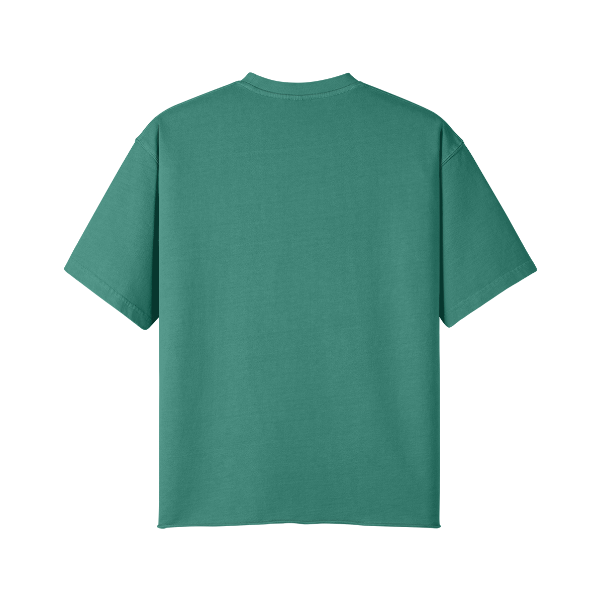 0-Y24-Back Side